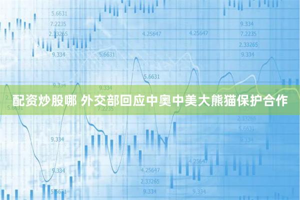 配资炒股哪 外交部回应中奥中美大熊猫保护合作